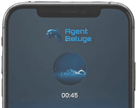 Voice & Call Intelligence